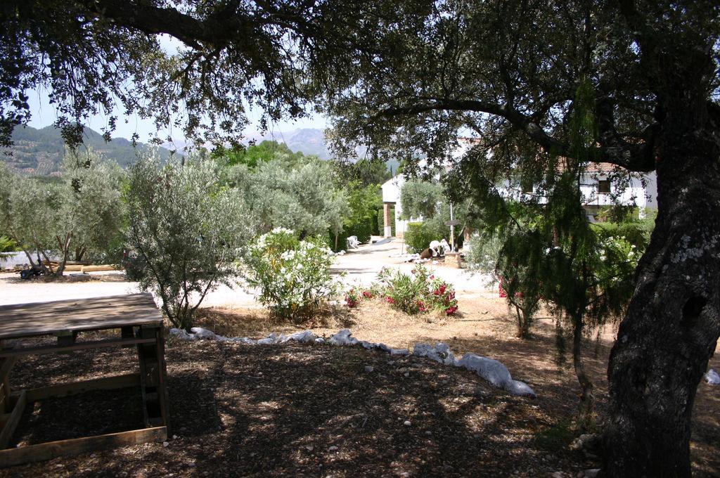 Casas Rurales La Loma Del Carrascal Hornos Extérieur photo